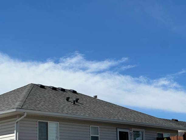 Best Storm Damage Roof Repair  in Wellston, OH